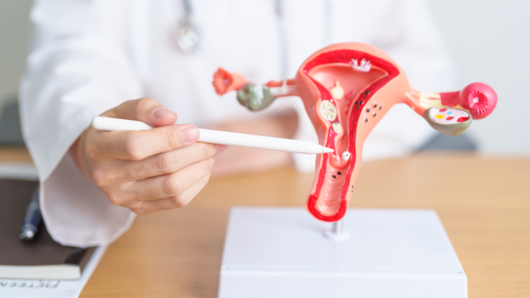 Doctor pointing to a model of a uterus