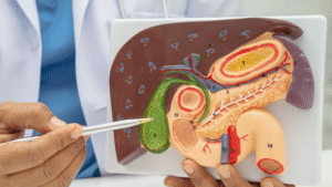 doctor pointing to a gallbladder on anatomical model